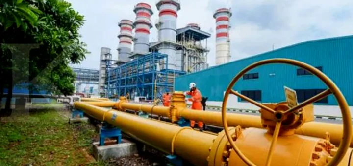 BPKP Memeriksa Harga Gas Murah untuk Industri