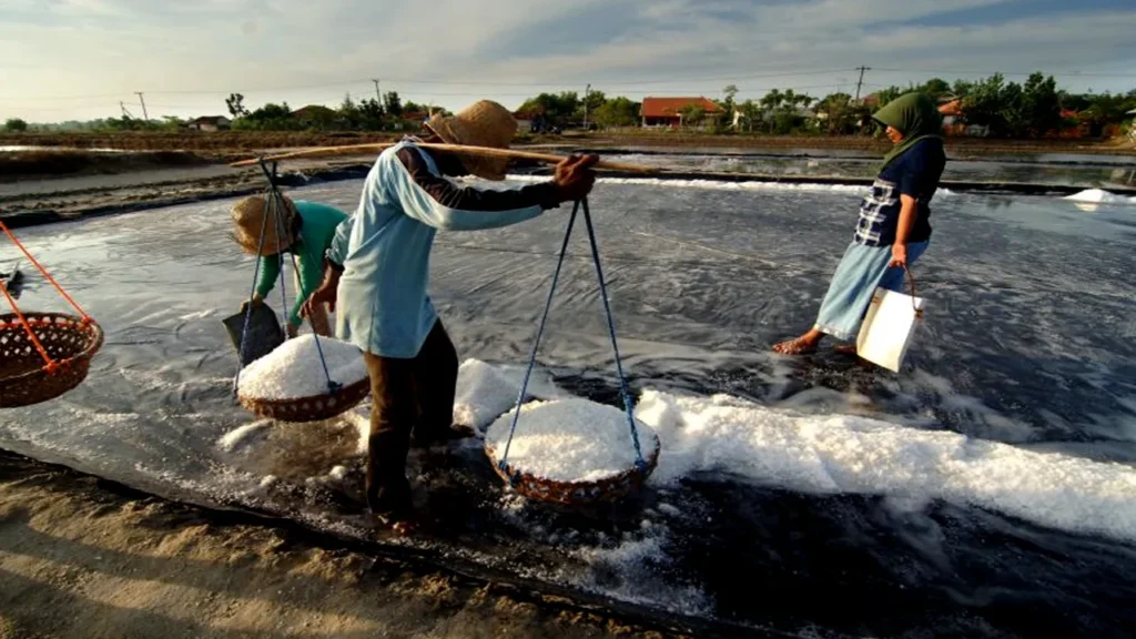 Stok Garam Semakin Menipis Usai Impor Dibatasi